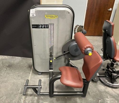 Technogym element lower back - lower,