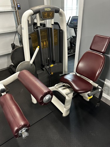 Technogym seated leg - technogym, curl